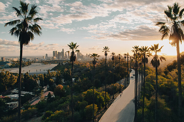 View of California with palm trees and city off in the distance