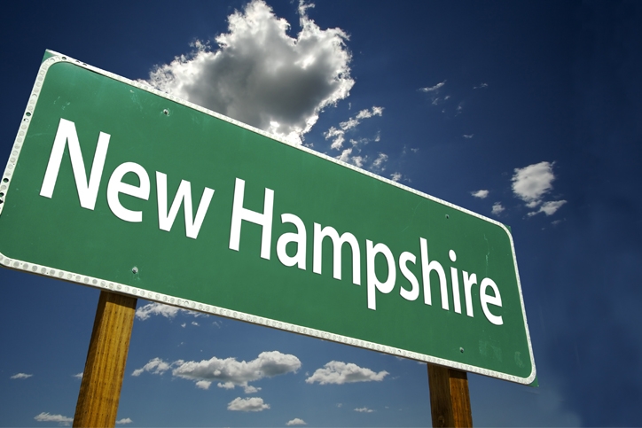 New Hampshire State Sign