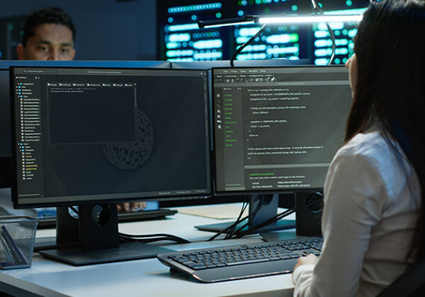 Business Single site enterprises Sub Hero 600x400 Woman looking at two computer screen monitors