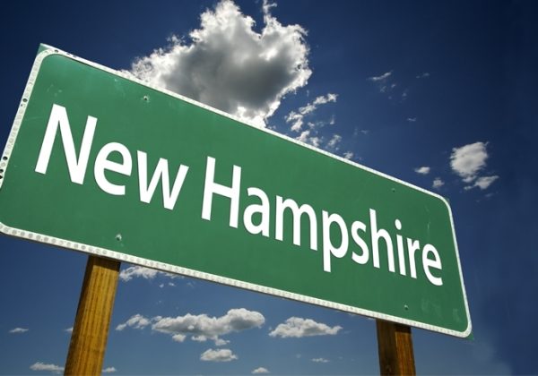 New Hampshire State Sign