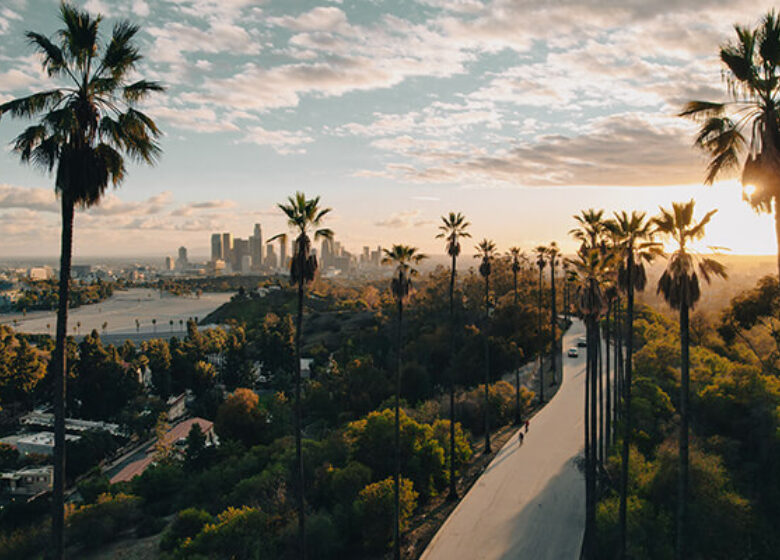 View of California with palm trees and city off in the distance